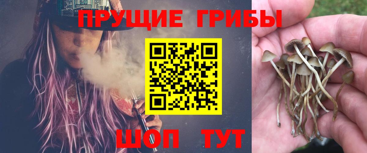 Псилоцибиновые грибы GOLDEN TEACHER  Вход с VPN  Сочи 
