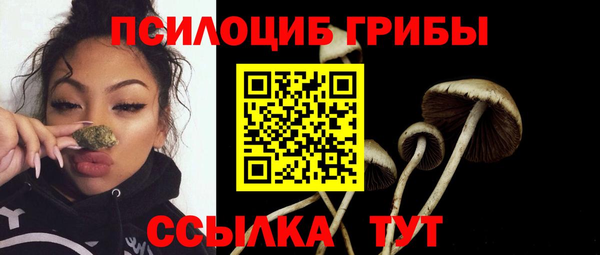 Галлюциногенные грибы Psilocybine cubensis Сочи